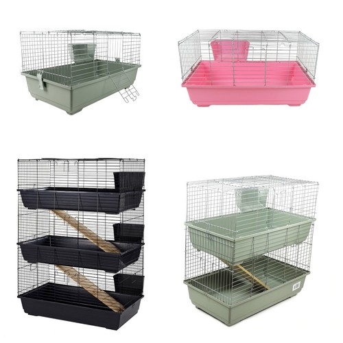 Rabbit guinea pig - animal, cage