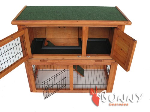 Rabbit guinea pig - pig, hutch