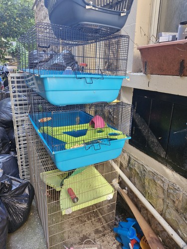 Wooden rabbit hutch enclosure - wooden,