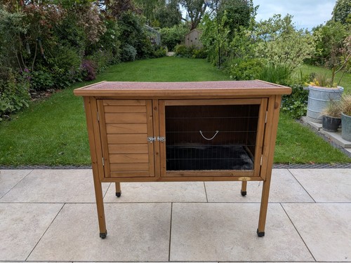 Outdoor raised guinea pig - raised,