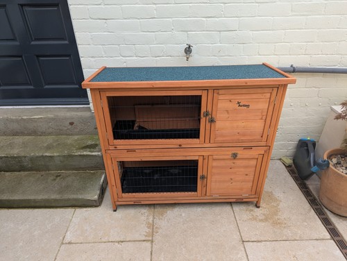 Two tier wooden guinea - guinea, pig