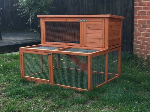 Rabbit guinea pig - 48", /