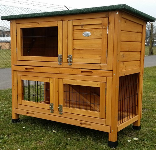 Rabbit hutch guinea pig - guinea,
