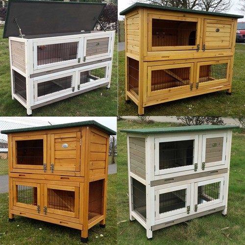 Large rabbit hutch guinea - guinea, pig