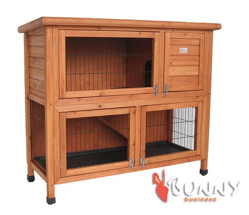 Rabbit hutch guinea - rabbit, pig