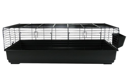 Rabbit guinea pig indoor - rabbit, cage