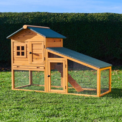 Rabbit hutch guinea pig - hutch,