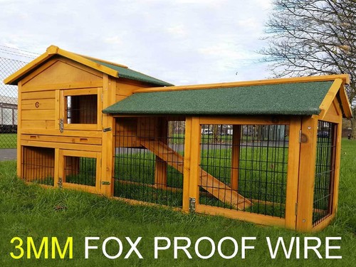 Rabbit esmo hutch guinea pig - rabbit,