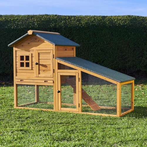 Rabbit guinea pig hutch - rabbit,