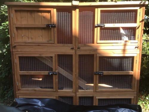 Rabbit hutch three tiers with - rabbit,