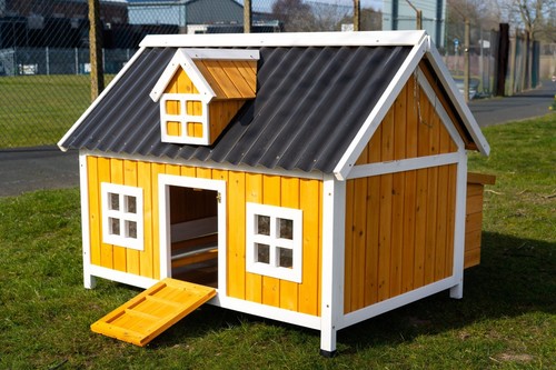 Large chicken coop hen house - large,