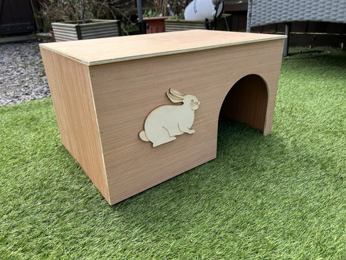 New design large - size, rabbit