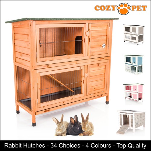 Rabbit hutch guinea pig - rabbit,