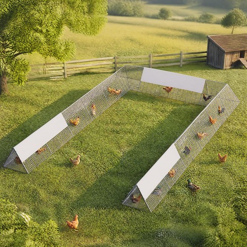 Metal chicken tunnel run - tunnel,